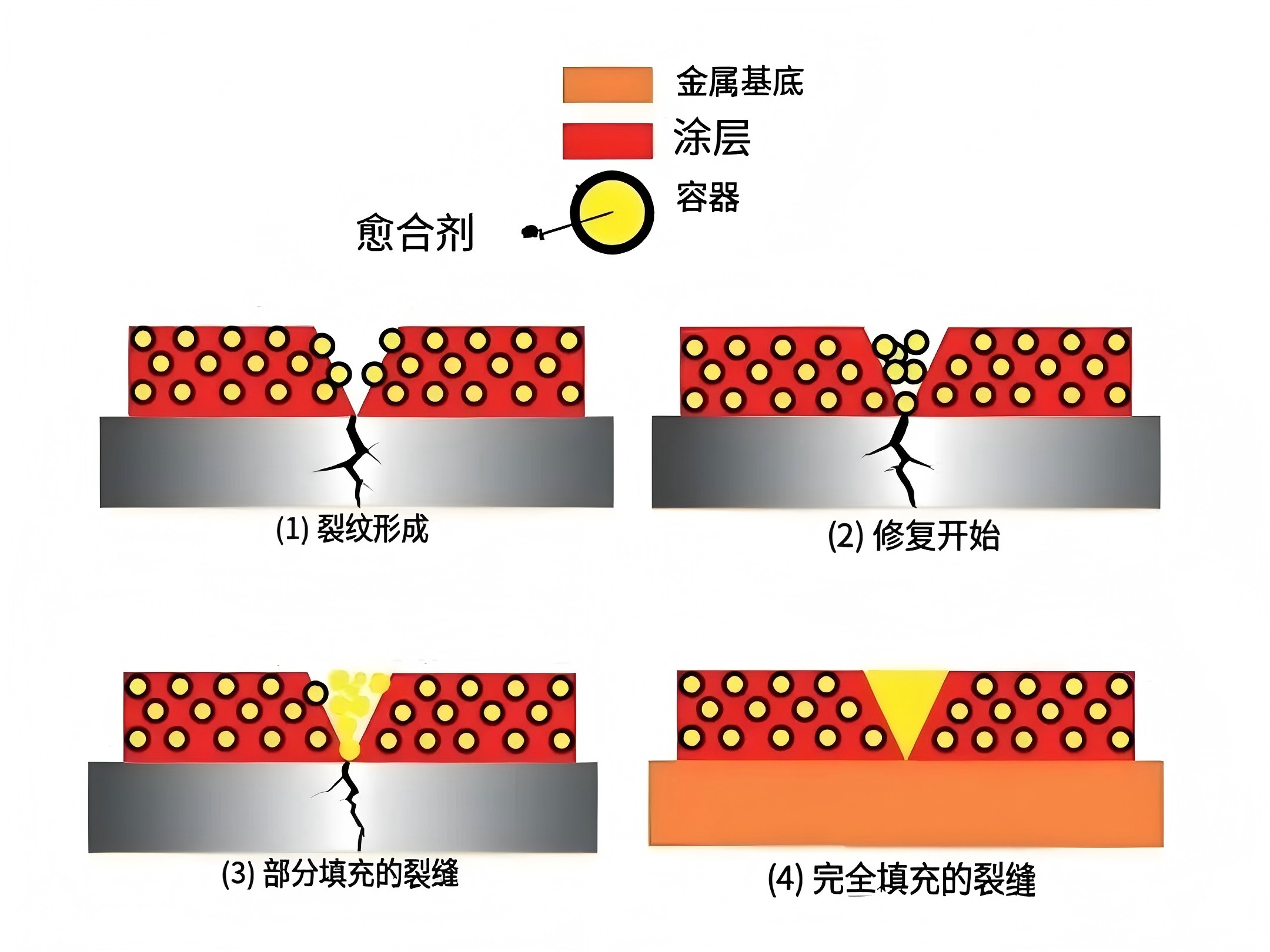 2-中文版原理图.jpg