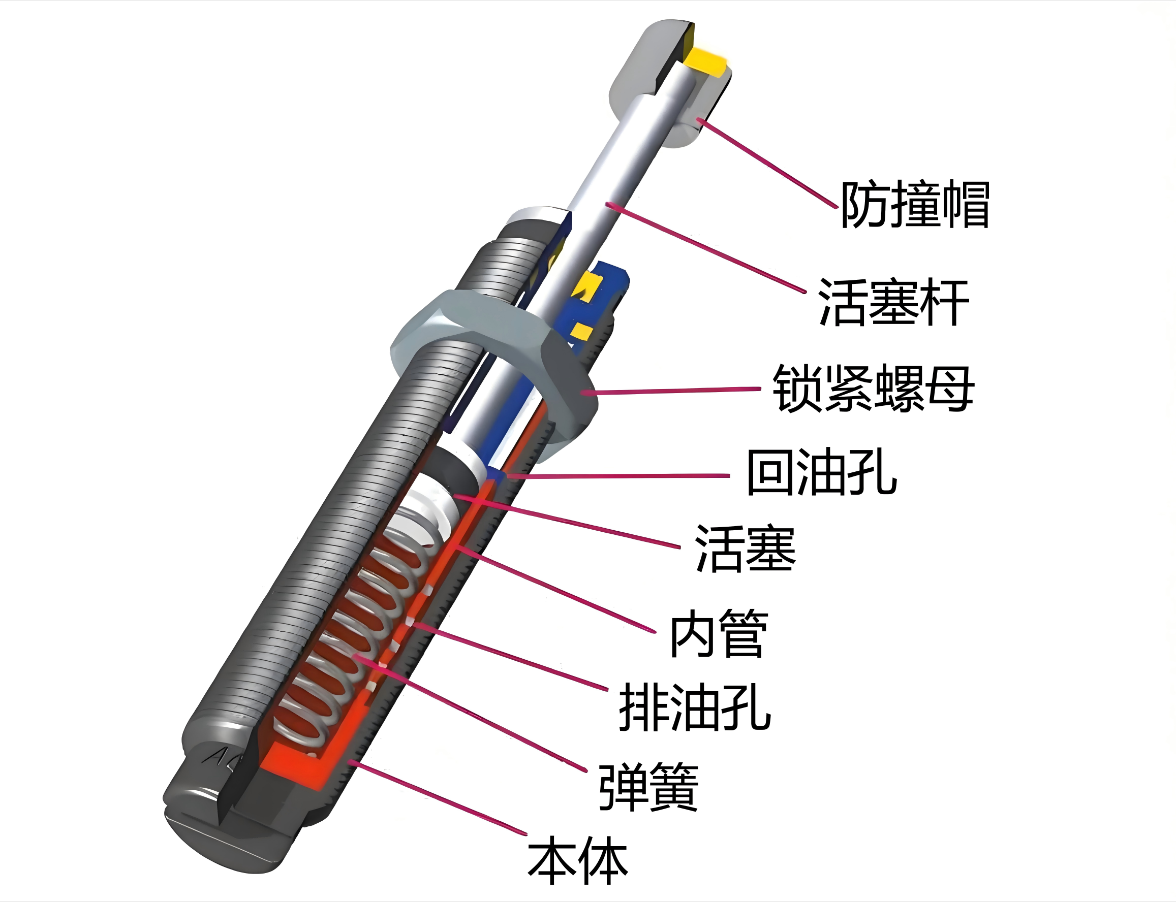 中文(1).png